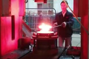 伺服螺旋壓力機(jī) 伺服螺旋壓力機(jī)